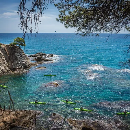 Hotel L'azure 4* Sup 4*